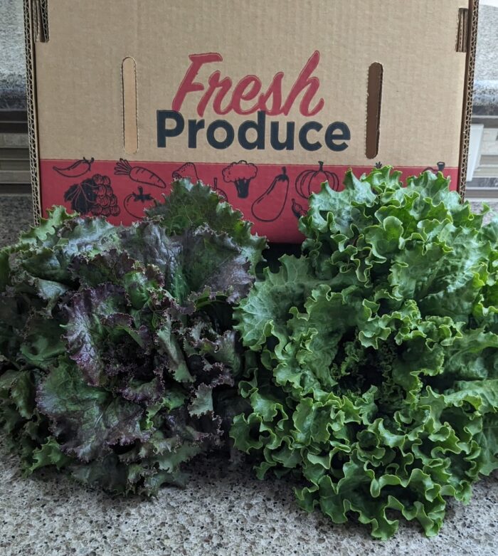 U-Pick Assorted (Vegetables + Flowers) - Image 6