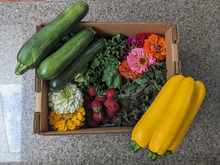 U-Pick Assorted (Vegetables + Flowers)