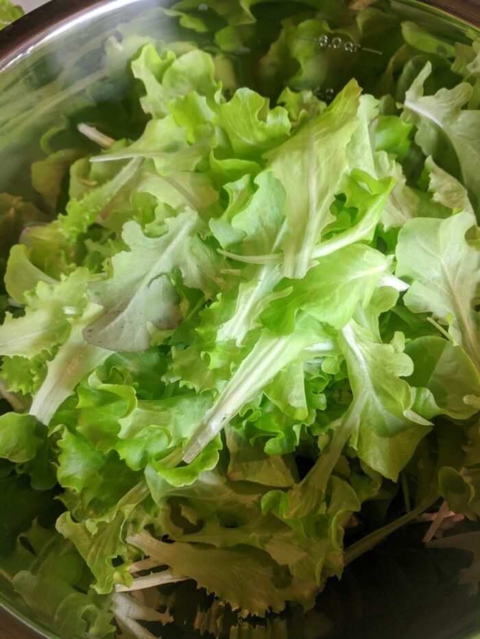 U-Pick Vegetables - Image 4