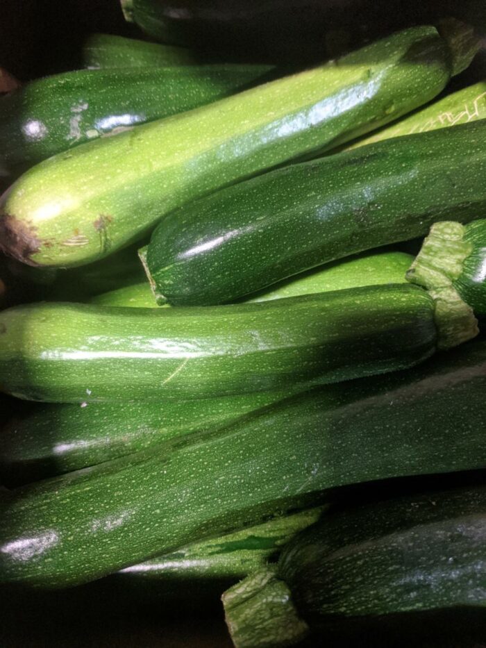 U-Pick Vegetables - Image 3