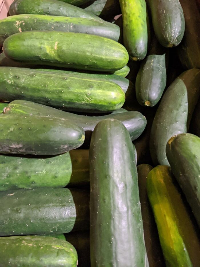 U-Pick Vegetables - Image 8
