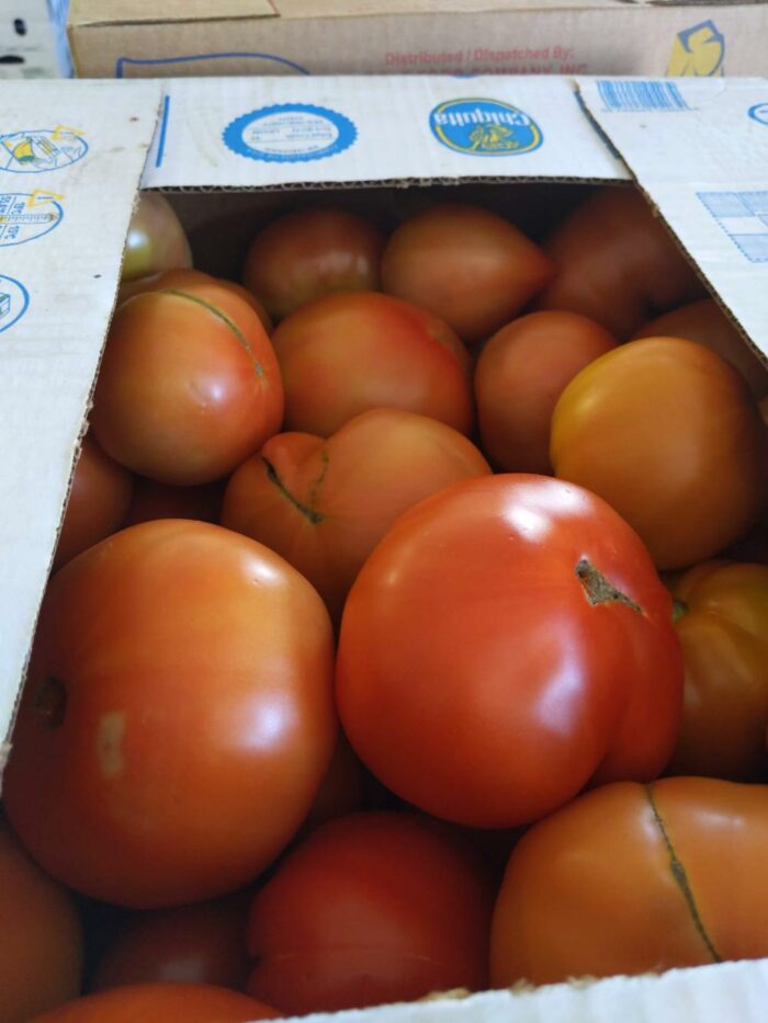 U-Pick Vegetables - Image 6