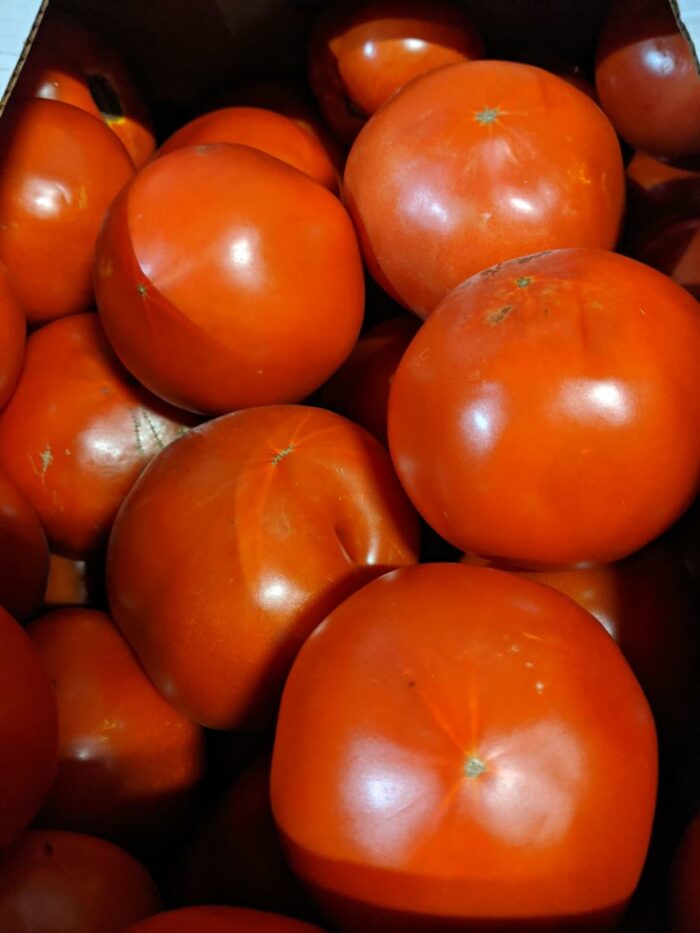 U-Pick Vegetables - Image 11