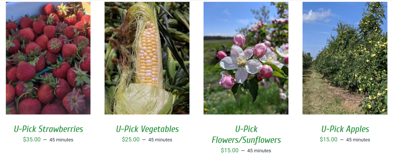 U-Pick-–-Goodman-Farms-05-14-2025_09_29_AM