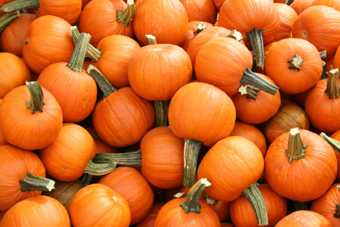 U-Pick Pumpkins